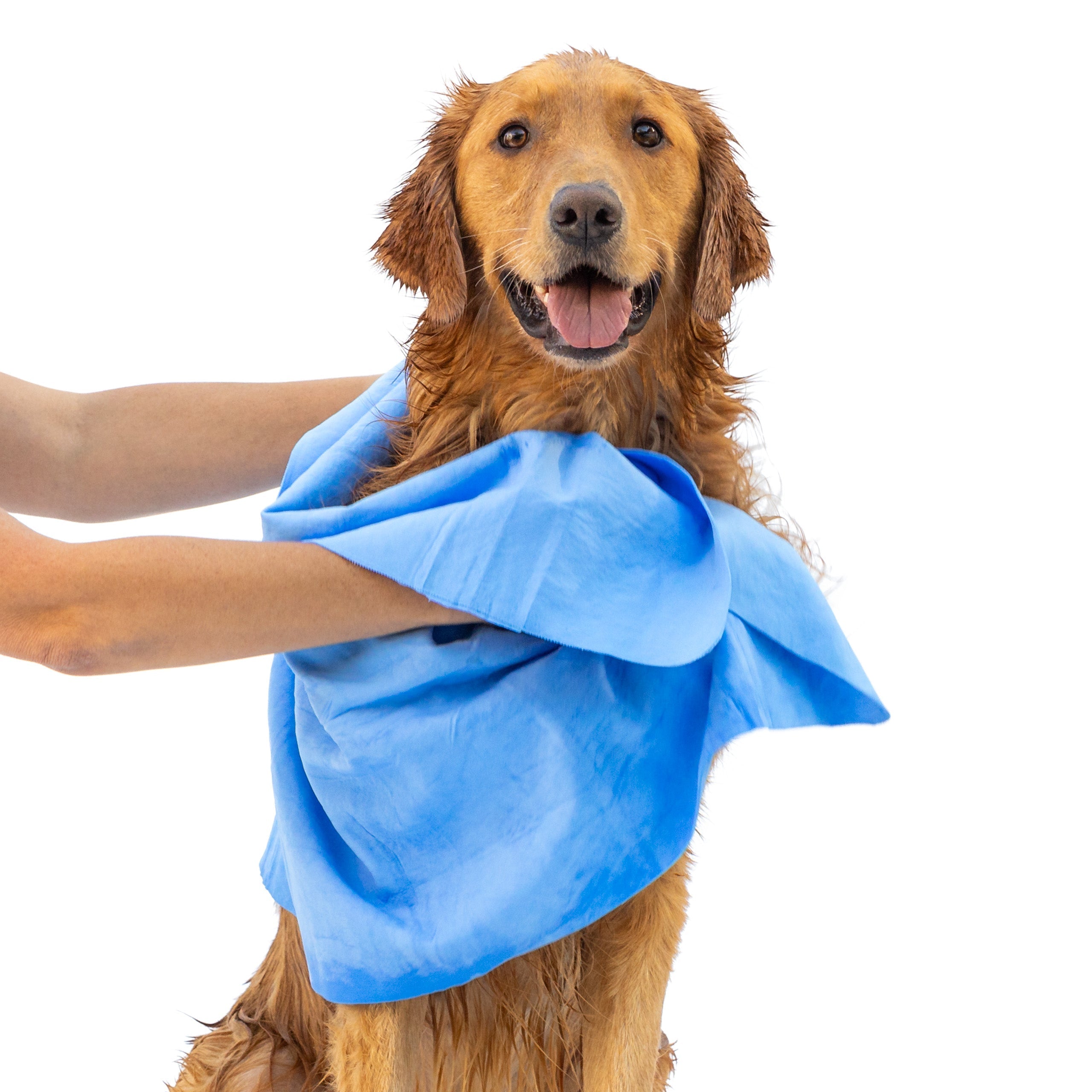 Muddy Paw Cleanup