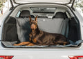 Waterproof SUV Cargo Liner for Dogs