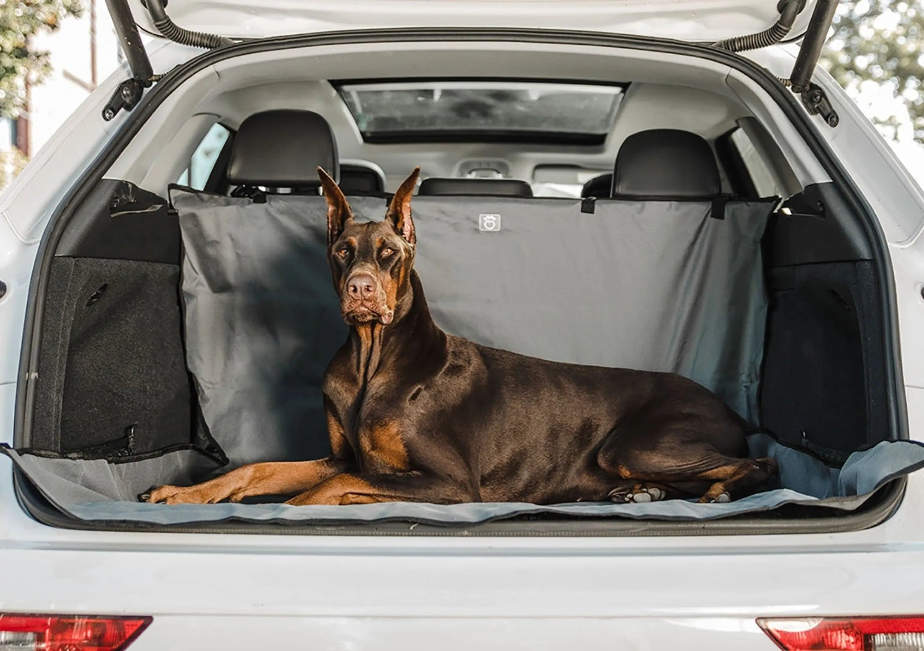 Waterproof SUV Cargo Liner for Dogs
